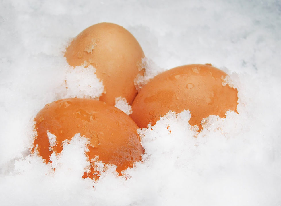 Snow Eggs