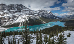 _MG_6884
