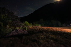 escalante 11