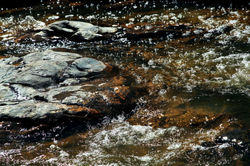 escalante 13
