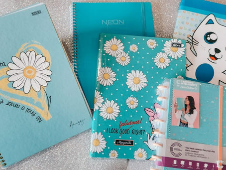 Qual o caderno ideal para sua volta às aulas? Conheça os modelos!