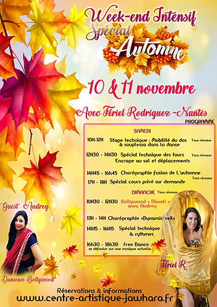 Affiche stage d'Automne.jpg