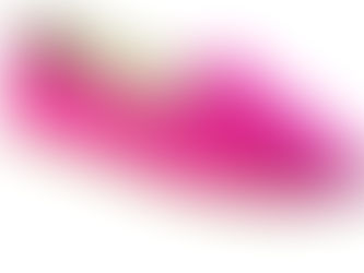 Tipos de sapato (parte 1)