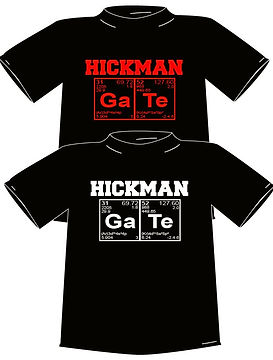 send hickman gate 2014.JPG