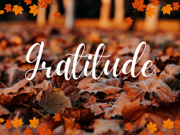 Gratitude as a Productivity Tool