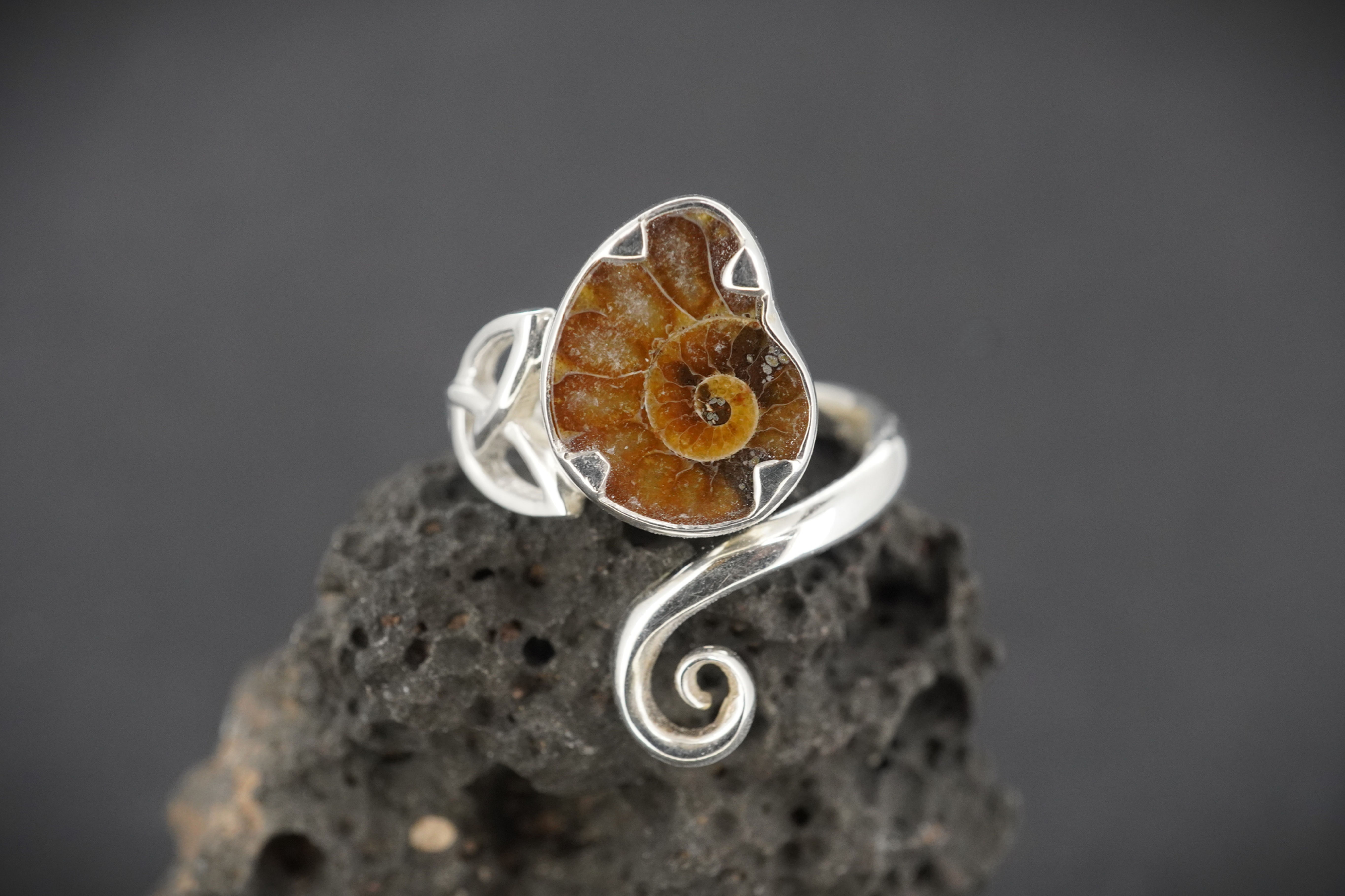Ammonite Sterling Silver Celtic Ring