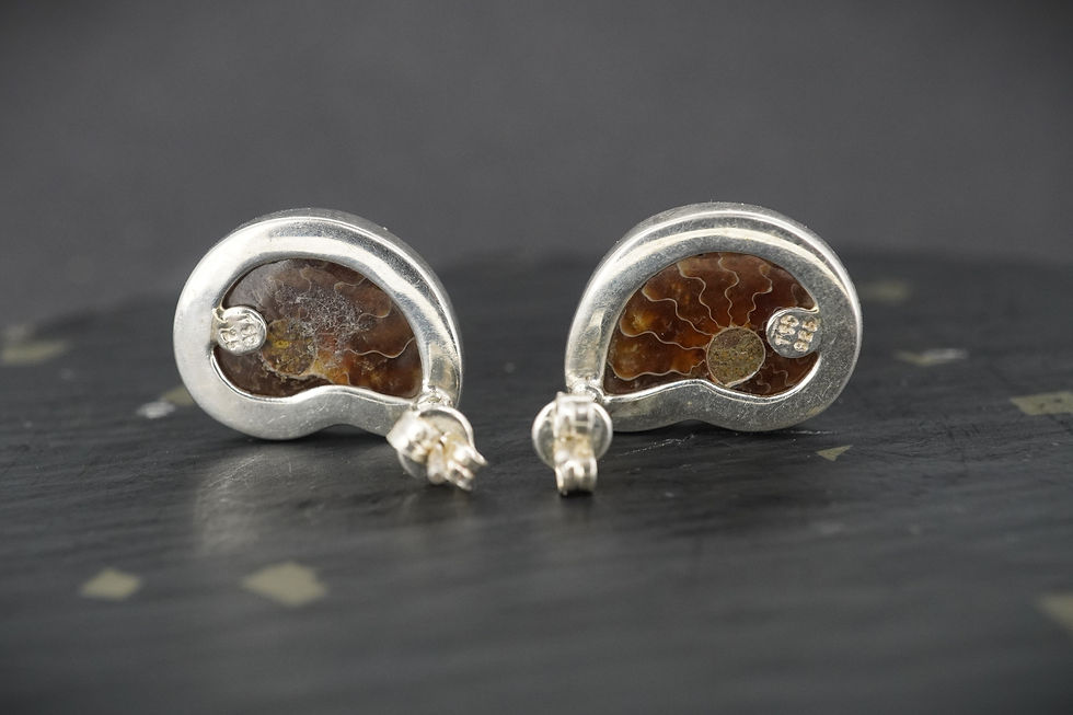 Thumbnail: Ammonite Sterling Silver Drop Earrings