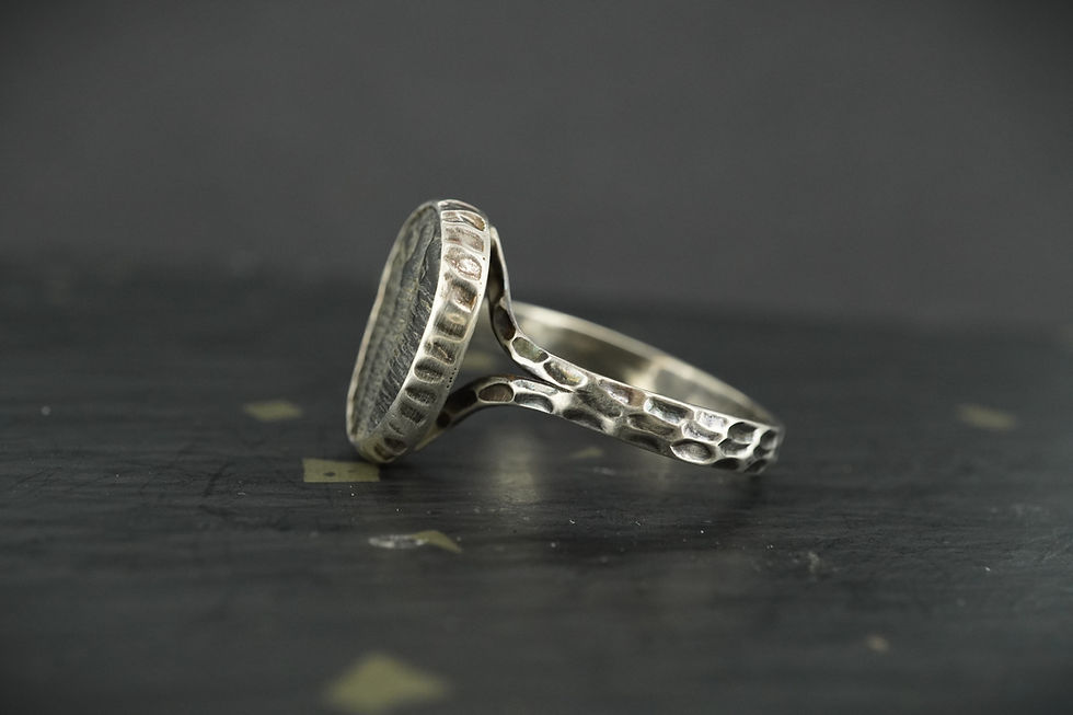 Thumbnail: Trilobite Hammered Sterling Silver Adjustable Ring