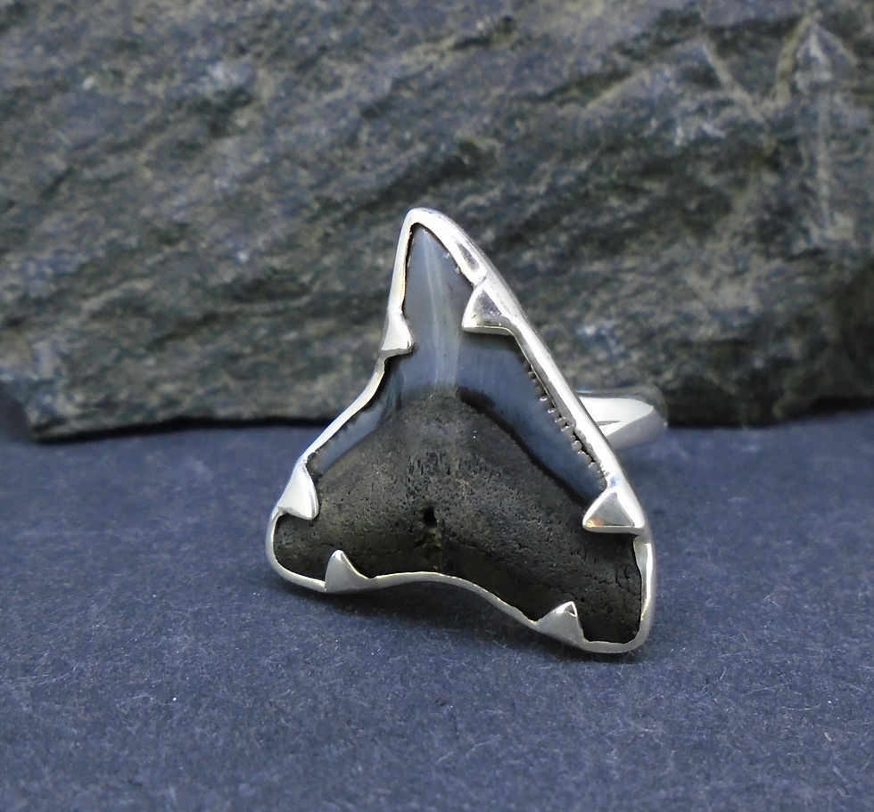 Thumbnail: Fossilised Shark Tooth Sterling Silver Ring