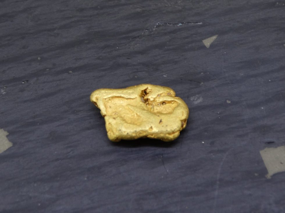 Miniature : Side view of a well-rounded Leadhills gold nugget with soft 'buttery' texture and visible gravel inclusion.