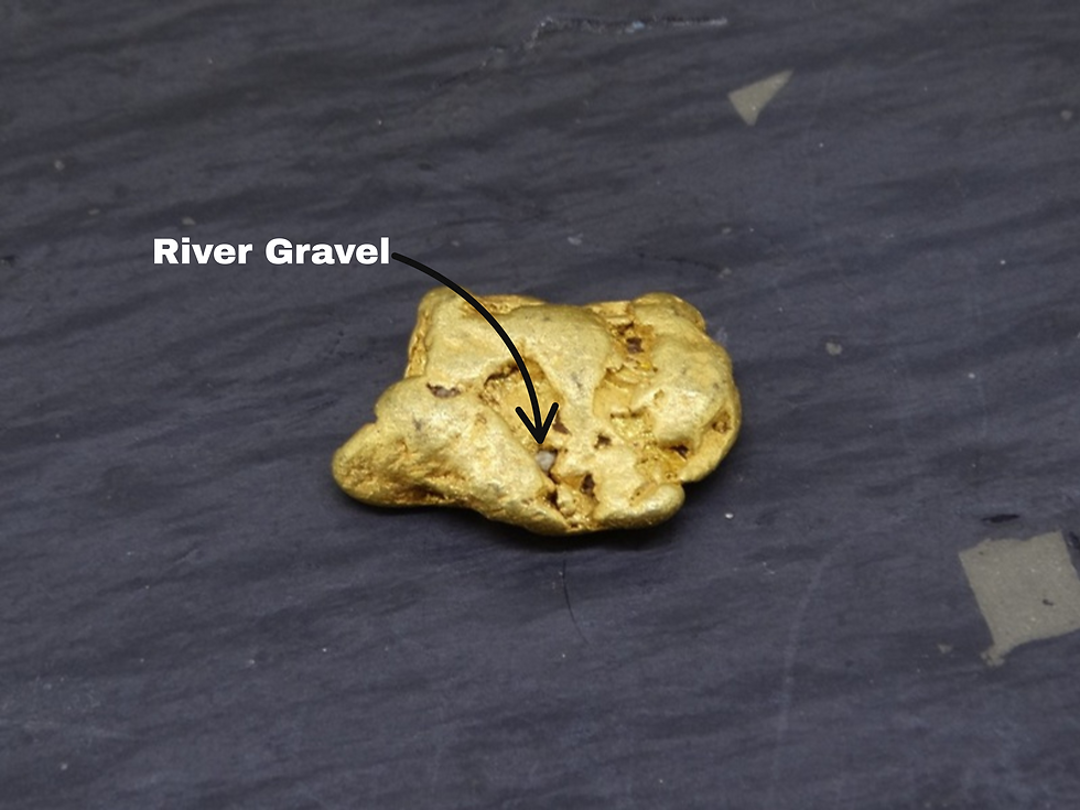Miniaturbild: Close-up of a dimple in a Leadhills gold nugget holding a tiny piece of river gravel, 2.595 grams.