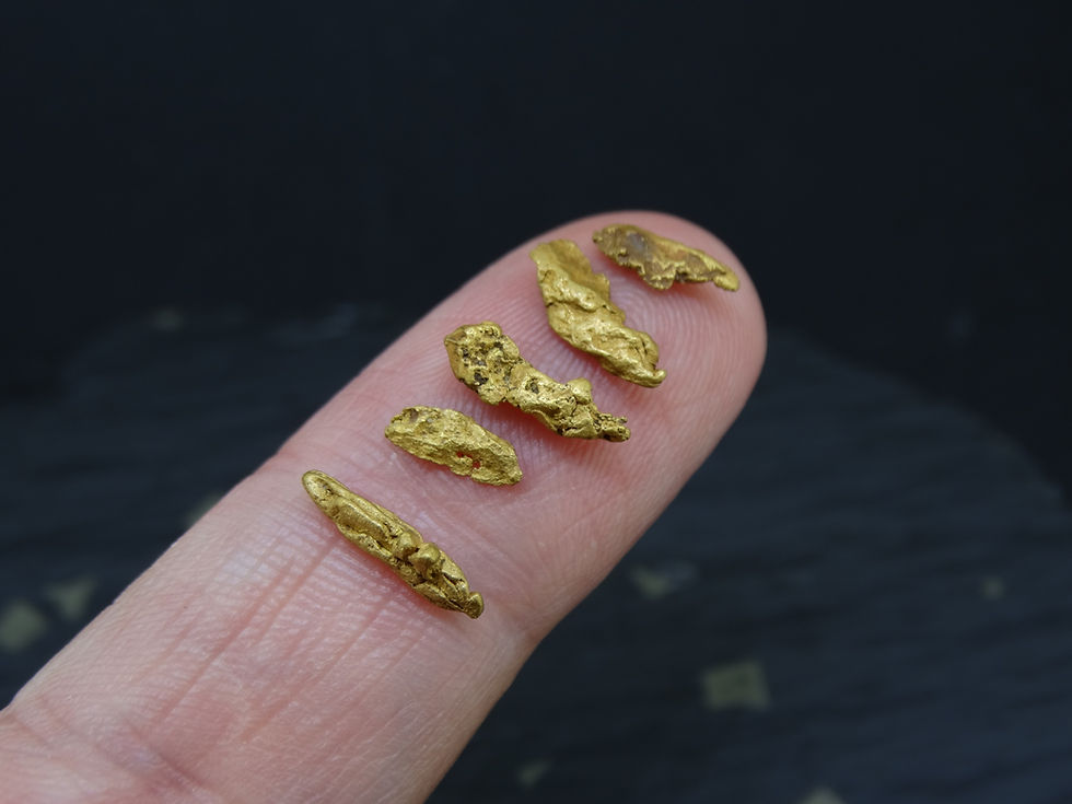Thumbnail: Scottish Highlands Gold 'Picker' Nuggets, 2015 - 1.443g