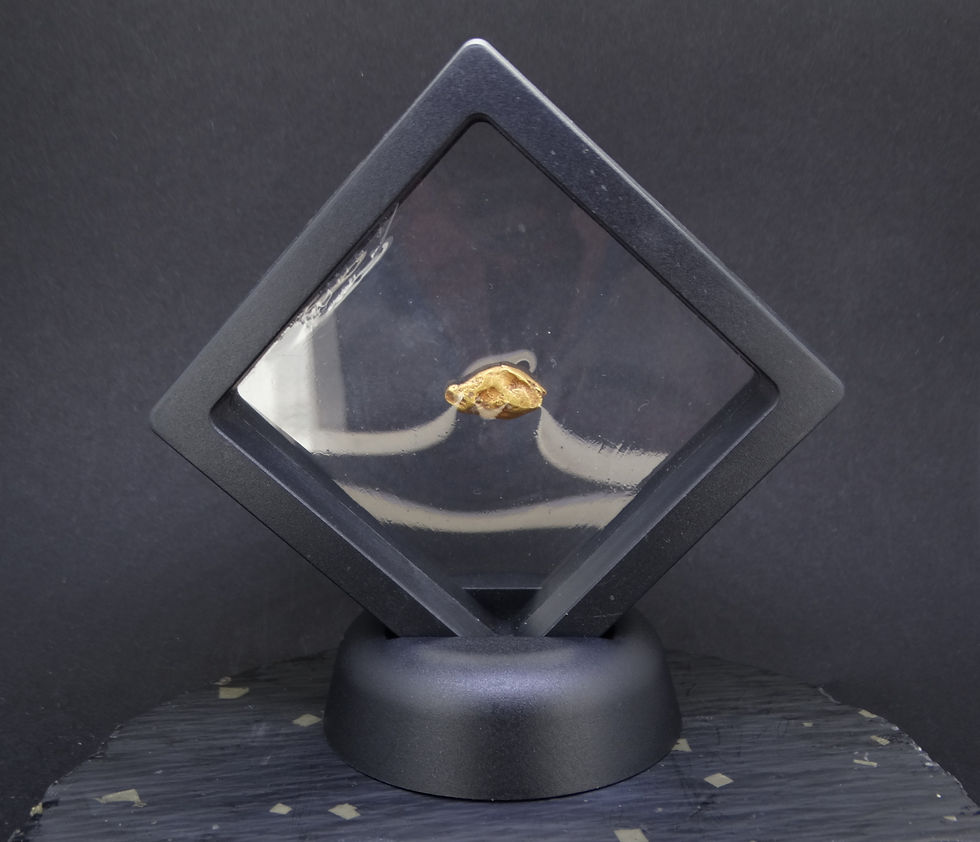 Thumbnail: Leadhills gold nugget presented in a suspension display case.