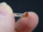 Thumbnail: Delicate Scottish Carnelian Scottish Gold and Silver Ring