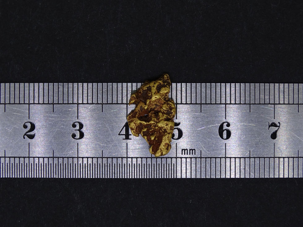 Miniaturbild: Scottish Gold Nugget on ruler for width