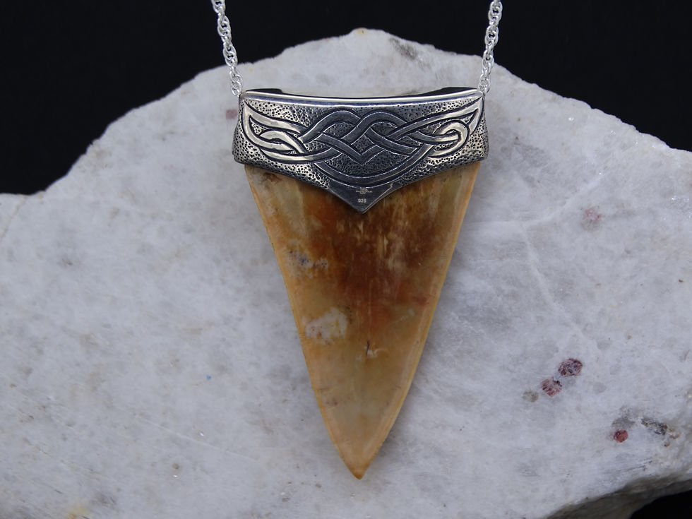 Thumbnail: Great White Shark Tooth and Garnet Sterling Silver Pendant