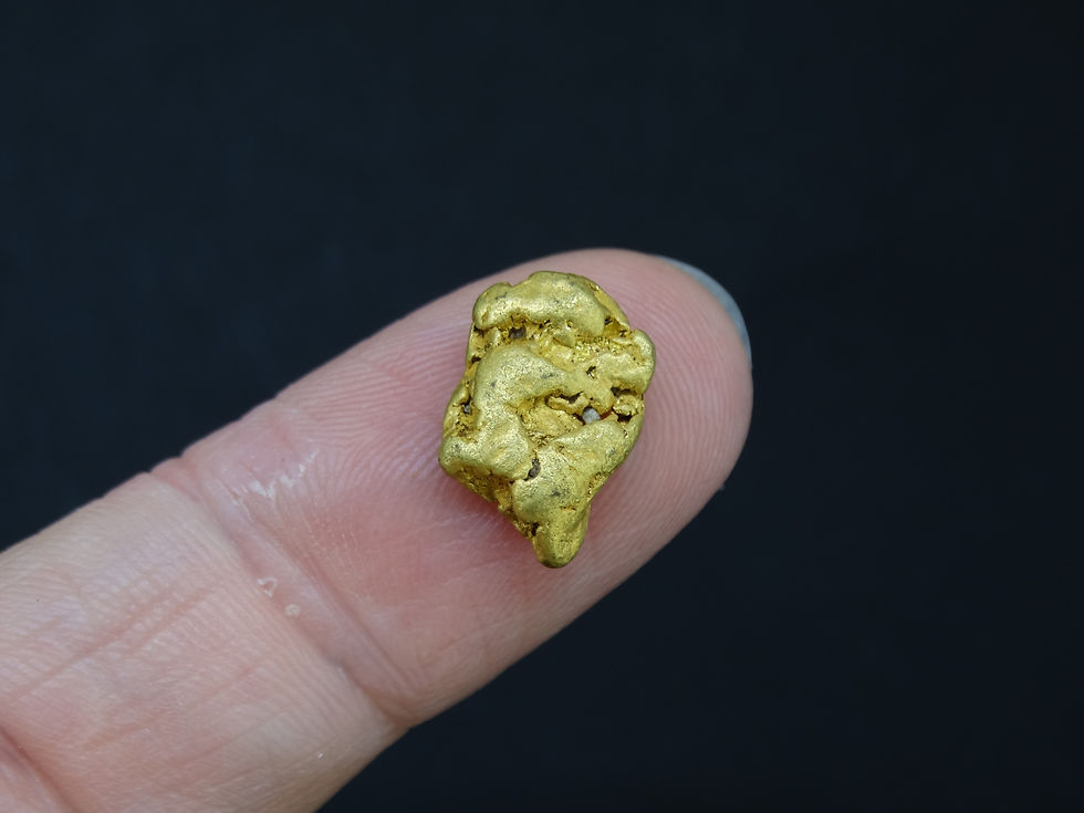 Miniature : 2013 Leadhills gold nugget weighing 2.595g shown in hand for scale, natural Scottish gold with 17ct minimum purity.
