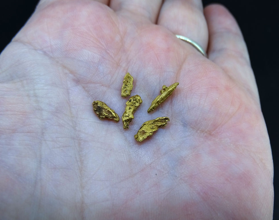 Thumbnail: Scottish Highlands Gold 'Picker' Nuggets, 2015 - 1.443g