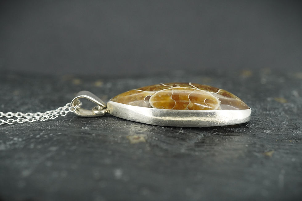 Thumbnail: Ammonite Cabochon Sterling Silver Pendant