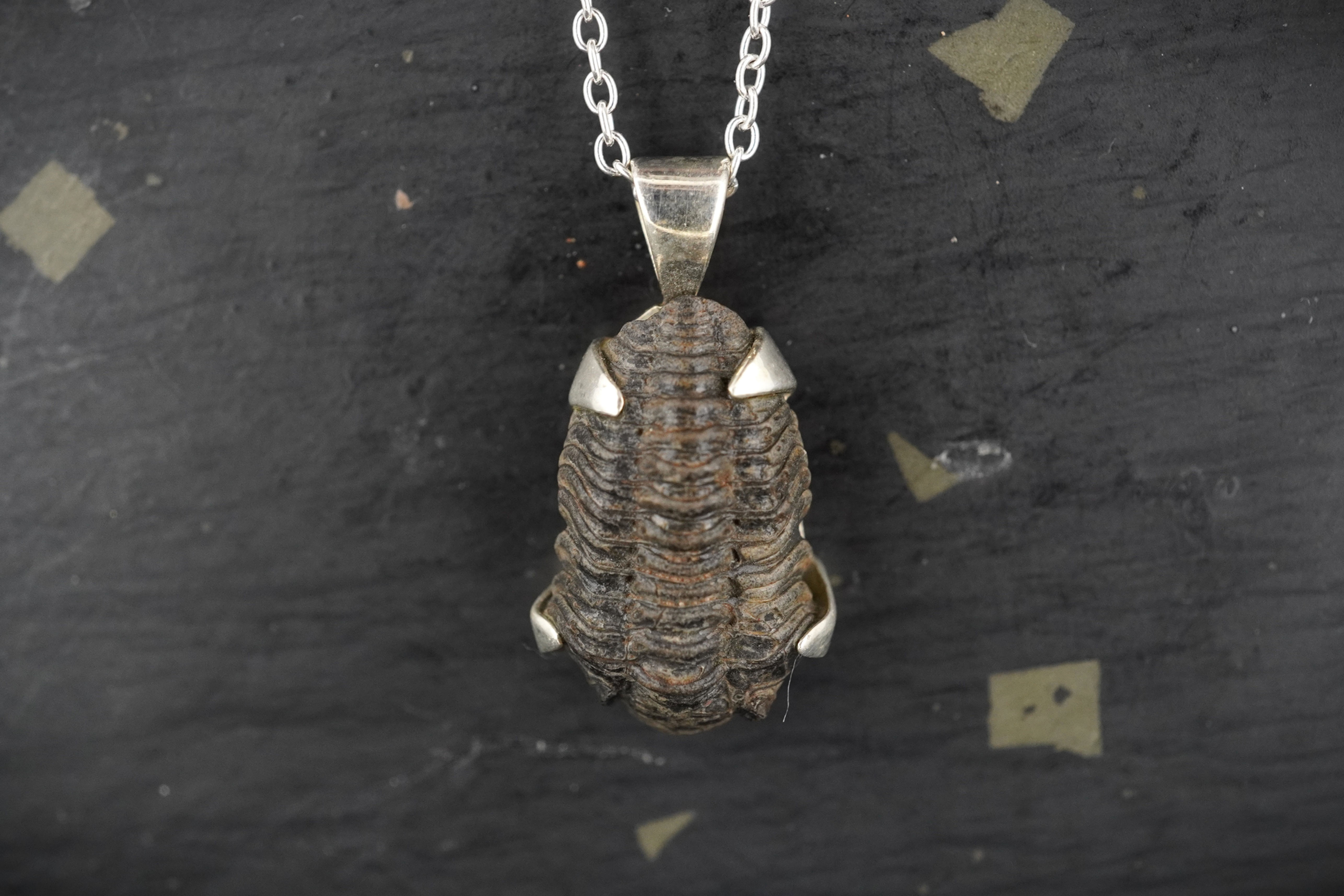 Trilobite Sterling Silver Pendant
