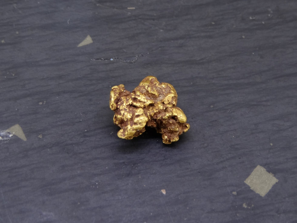 Miniaturbild: Scottish Gold Nugget side view