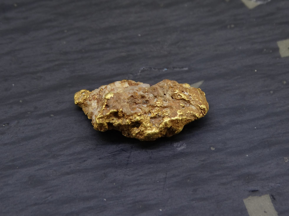 Miniaturbild: Scottish Gold Nugget