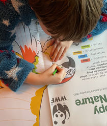 WWF - The Amazon Rainforest