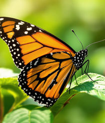 50 things to do before you're 11 3/4