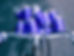 external-file_edited.jpg