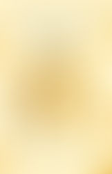 Human Fragility in Human Acts By Han Kang 