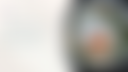 Mushrooms, Greens, and Eggs