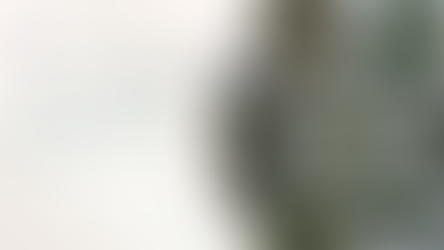 Beyond the Fruit: The Delicious Potential of Your Garden Shoots