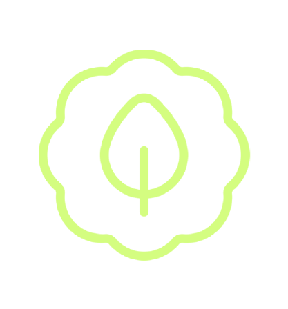 Rooted 1.png