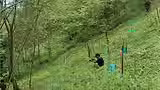 685ab921a0152abdad9ec764_Restoration Site_3_Nayantara Siruguri.avif