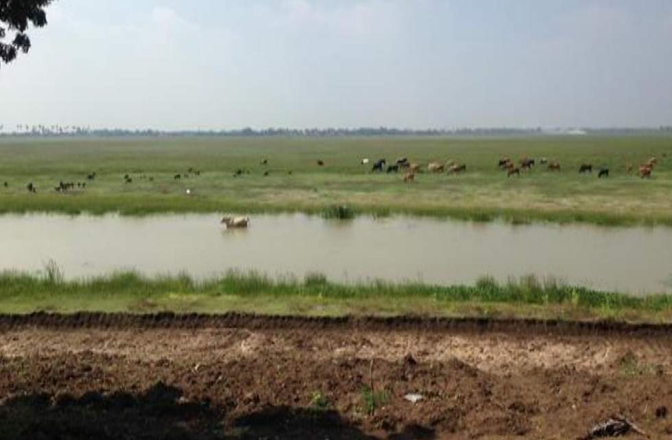 Screenshot 2025-12-05 at 6.30.18 PM.png