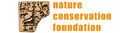 NCF.png