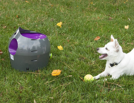 Puppy using Automatic ball launcher for outdoor play with your dog Automatic Fetch Machine for Outdoor play with your dog
