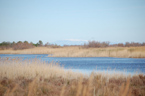 DSC_8927.JPG