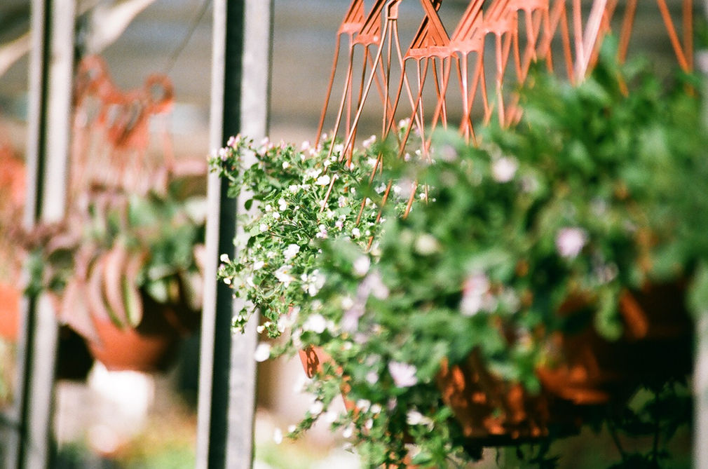 7 Ways To Practice Self-Care This Spring