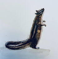 Chipmunk2_edited.jpg