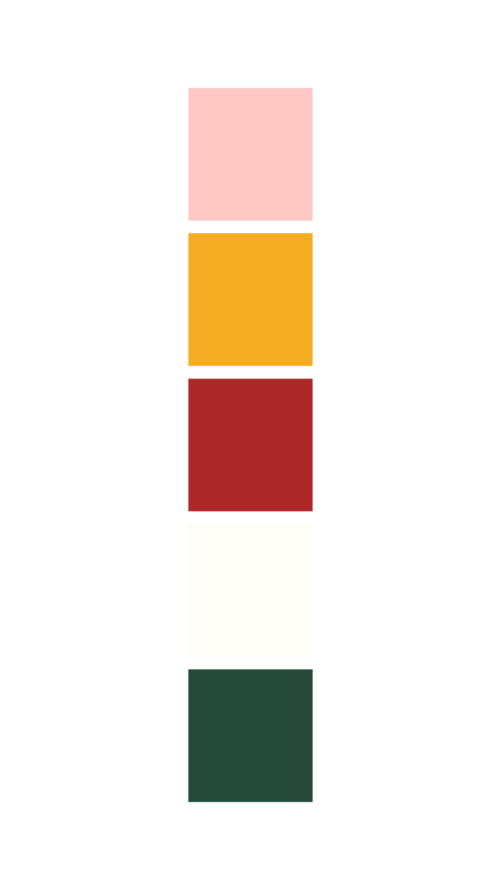 brand colour pallete
