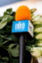 IMD microphone among white roses