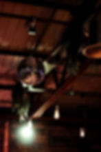 Disco ball, hanging lights, and greenery from a ceiling