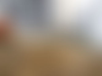 Nouveaux produits ou matériaux utilisés sur un chantier, le constructeur peut-il opposer son inexpérience ?