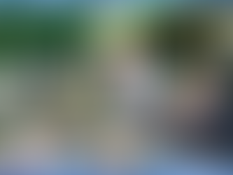 Empiètement, tour d’échelle, quand le propriétaire d’une parcelle s’invite chez son voisin.