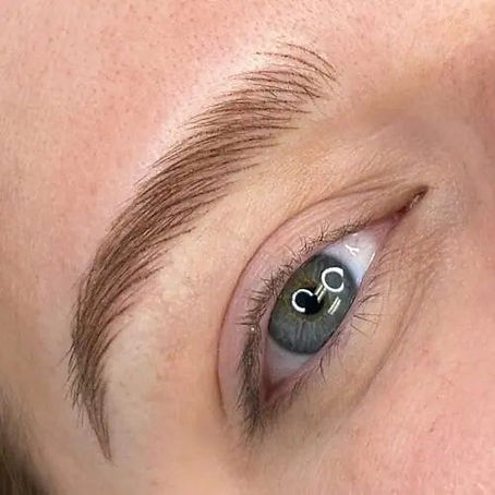 nano brows.jpg