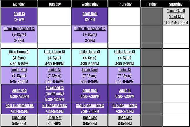 rise up schedule.jpg