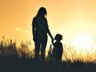 CBD vs A Custody Battle?