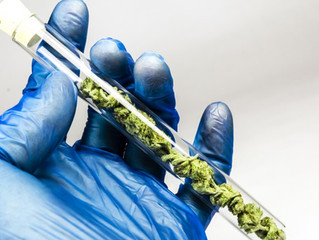 Several Months of 2018 MMJ Stats