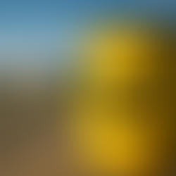 Smaltimento dei rifiuti nucleari: tecnologie emergenti e sfide industriali